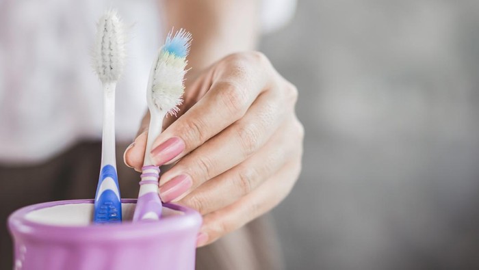 1765429632442-ilustrasi-sikat-gigi_169