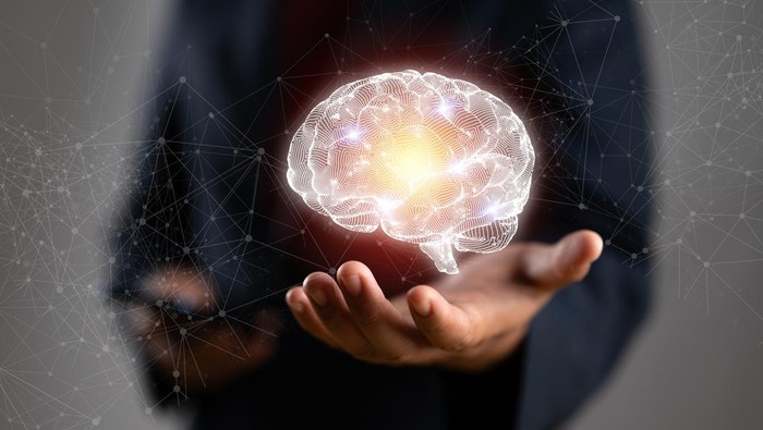 1765429639855-ilustrasi-otak-1760594863621_169