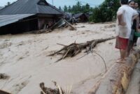 1765451161044-penampakan-banjir-bandang-di-kabupaten-tapanuli-selatan-sumatera-utara-dok-bpbd-tapsel_169