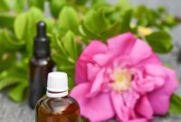 1765472756638-ilustrasi-minyak-karo-image-by-monika-from-pixabay_43