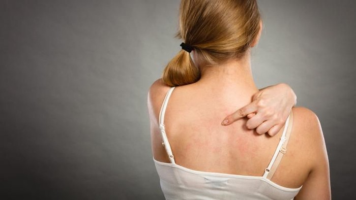 1765515954701-c2912bd5-a604-487d-894f-2ee91f544be8_169