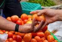 1765559160764-unik-ibu-ini-minta-oleh-oleh-ke-anaknya-tomat-10-kg-dari-dubai-1_169