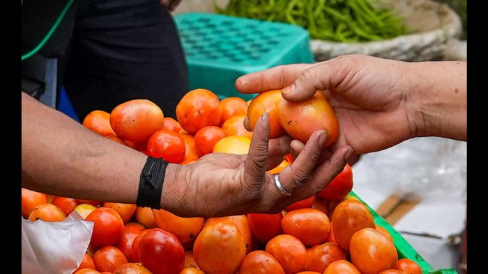 1765559160764-unik-ibu-ini-minta-oleh-oleh-ke-anaknya-tomat-10-kg-dari-dubai-1_169