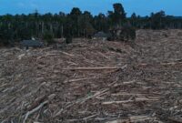 1765559162744-gelondongan-kayu-pascabanjir-beberkan-rusaknya-hutan-aceh-1765011763883_169