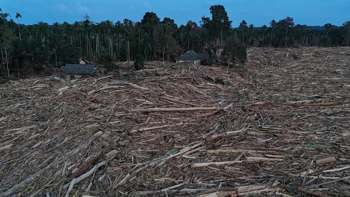 1765559162744-gelondongan-kayu-pascabanjir-beberkan-rusaknya-hutan-aceh-1765011763883_169