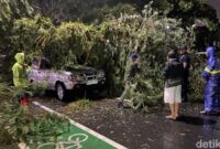 1765559163241-pohon-tumbang-meninpa-minibus-di-jalan-imam-bonjol-kecamatan-medan-polonia-kota-medan-foto-mhd-ilham-pradilladetiksumut-1765548714350_169