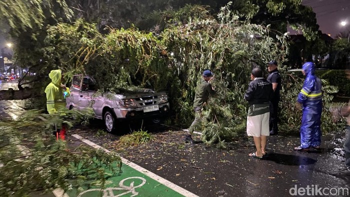 1765559163241-pohon-tumbang-meninpa-minibus-di-jalan-imam-bonjol-kecamatan-medan-polonia-kota-medan-foto-mhd-ilham-pradilladetiksumut-1765548714350_169