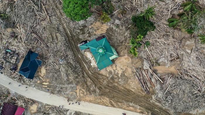 1765731962673-penampakan-kayu-gelondongan-tutup-akses-dan-hambat-evakuasi-di-tapteng-1765522970212_169