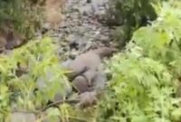 1765775223825-fenomena-alam-1765770614896_169