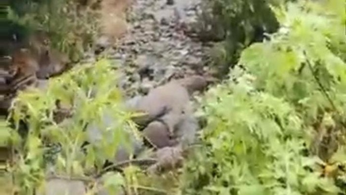 1765775223825-fenomena-alam-1765770614896_169