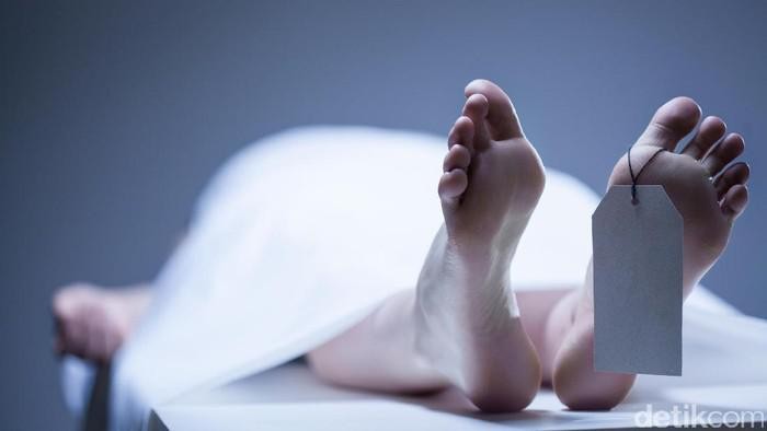 1765775231255-penemuan-mayat-wanita-duduk-di-melaya_169