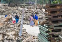 1765775234267-penampakan-kayu-gelondongan-tutup-akses-dan-hambat-evakuasi-di-tapteng-1765522970346_169