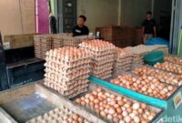 1765796773606-harga-telur-ayam-di-binjai-1765774674652_169