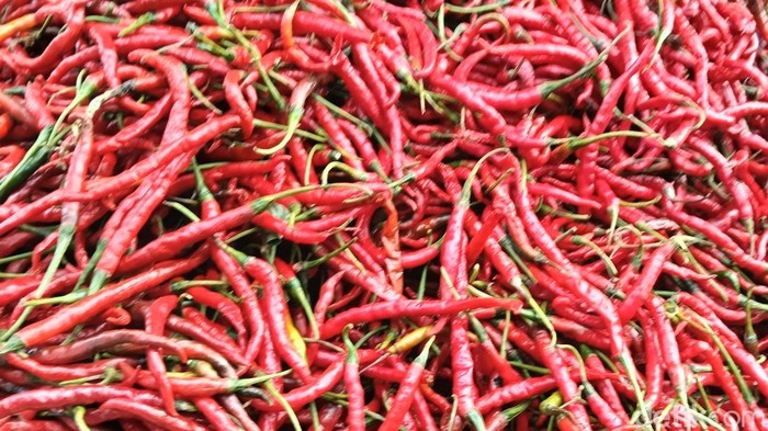 1765904773953-ilustrasi-cabai-merah-1757307340955_169