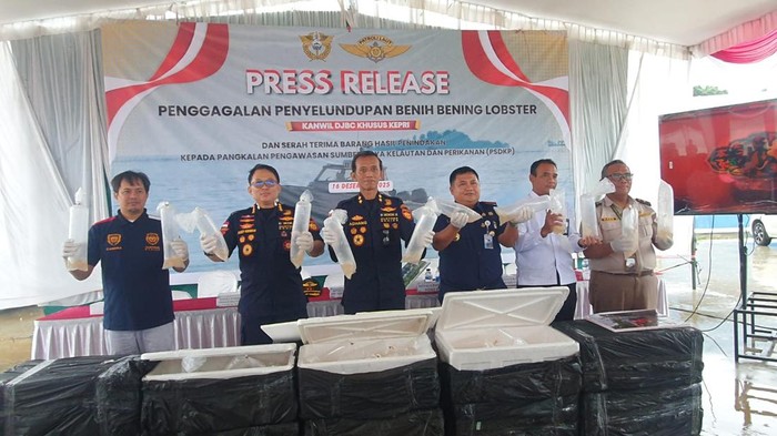 1765904774391-djbc-khusus-kepri-menggagalkan-penyelundupan-129-ribu-benih-lobster-di-perairan-lingga-dok-djbc-kepri-1765891768715_169