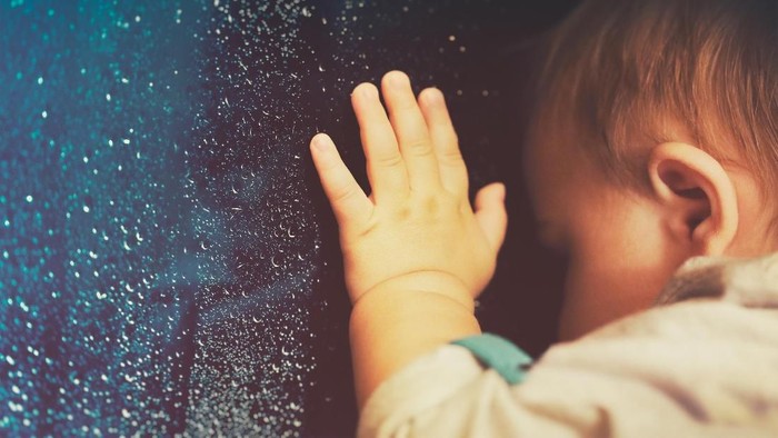 1766531116843-b7cbc915-2da4-4b55-a715-f0b5c55cd5a6_169