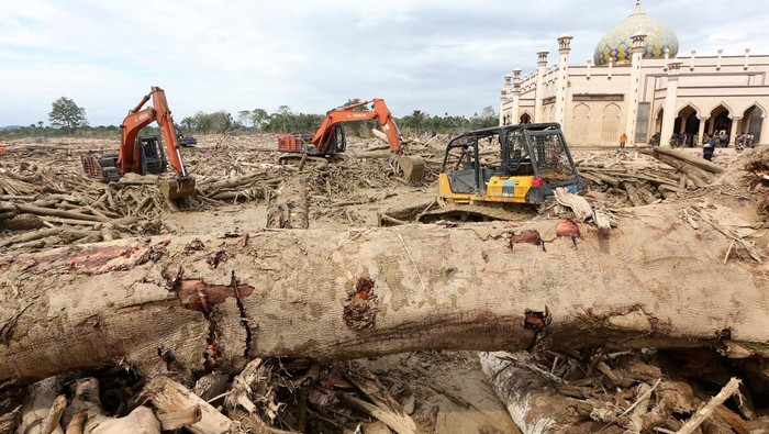 1766552803846-alat-berat-dikerahkan-bersihkan-sisa-banjir-bandang-di-aceh-tamiang-1766316936888_169