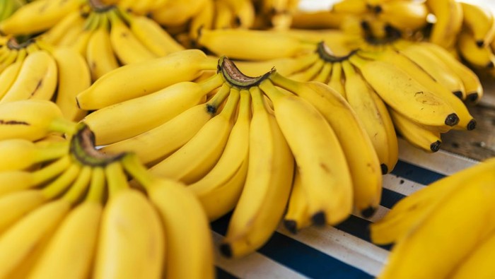 1766639177298-buah-pisang-1764733600993_169