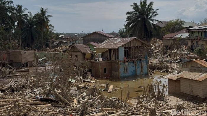 1767352063778-kondisi-aceh-tamiang-usai-banjir-surut-1765464194816_169