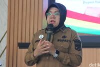 1767352074004-bupati-siak-afni-zulkifli-foto-raja-adil-siregardetiksumut-1766981958363_169