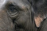 1767373559253-f56a4389-508b-4741-98a3-5b6fa818141a_43