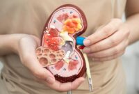 1767481489888-ilustrasi-ginjal-1754539047694_169