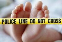 1767719169021-ilustrasi_169