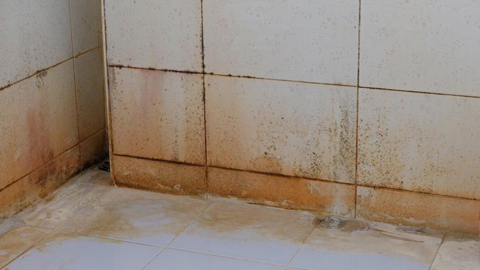 1767848819350-1392560235_169