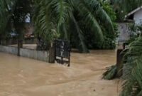 1767870368549-banjir-di-aceh-timur-foto-screenshot-video-beredar-1767866199132_169