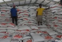 1768043149608-ilustrasi-persediaan-beras-di-gudang-bulog-dasan-cermen-kota-mataram-ntb-beberapa-waktu-lalu-foto-nathea-citradetikbali-1_169