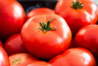 1768107975578-buah-tomat-1762160583575_169