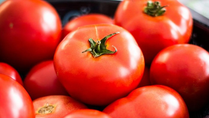 1768107975578-buah-tomat-1762160583575_169