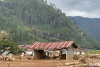 1769079993054-foto-banjir-bandang-di-aceh-tengah-agus-setyadidetiksumut-1768381722297_169