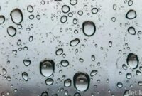 1769231188533-ilustrasi-hujan_169