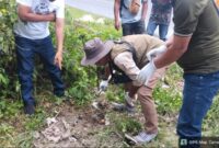 1769403992935-bangkai-macan-akar-yang-sempat-dikira-harimau-di-simalungun-dok-bksda-sumut-1769398017803_169