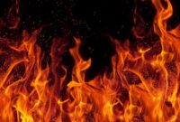 1769447229329-ilustrasi-api_169