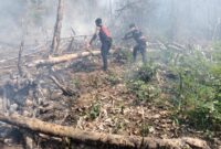 1769512005295-suasana-kebakaran-lahan-di-tapteng-berhasil-dipadamkan-dok-humas-polres-tapteng-1769501661696_169