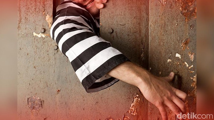 1769533618694-a4183ffb-13fc-4ed4-968f-cd9ba8ad02d9_169